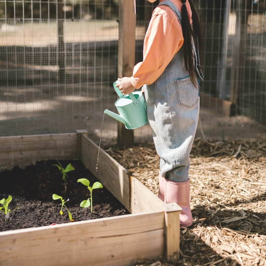 SostenibilitaCC80 Ambient 8 ymule2