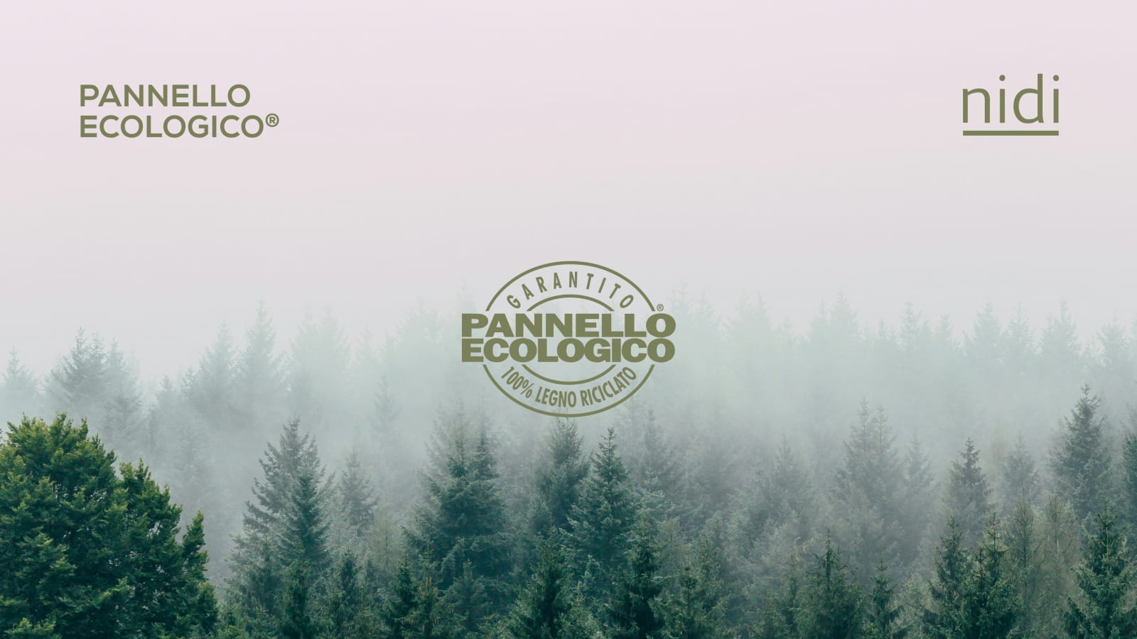 news una scelta ecologica per il futuro di tutti