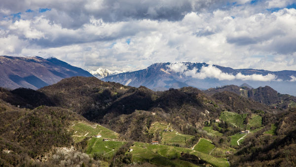 UNI EN ISO 14001 4 1